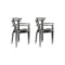 Gaulino Dining Armchair Set  option Set of 4