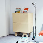 Multileg 1+1M Ash Cabinet