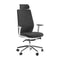 Coda Task Chair  option Oyster / Polished Aluminum