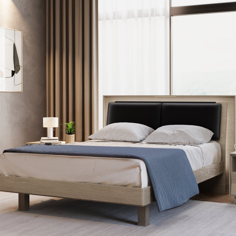 Kava Bed
