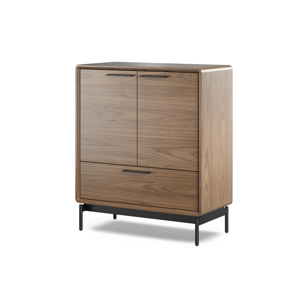 LINQ Entry Cabinet