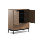 LINQ Entry Cabinet