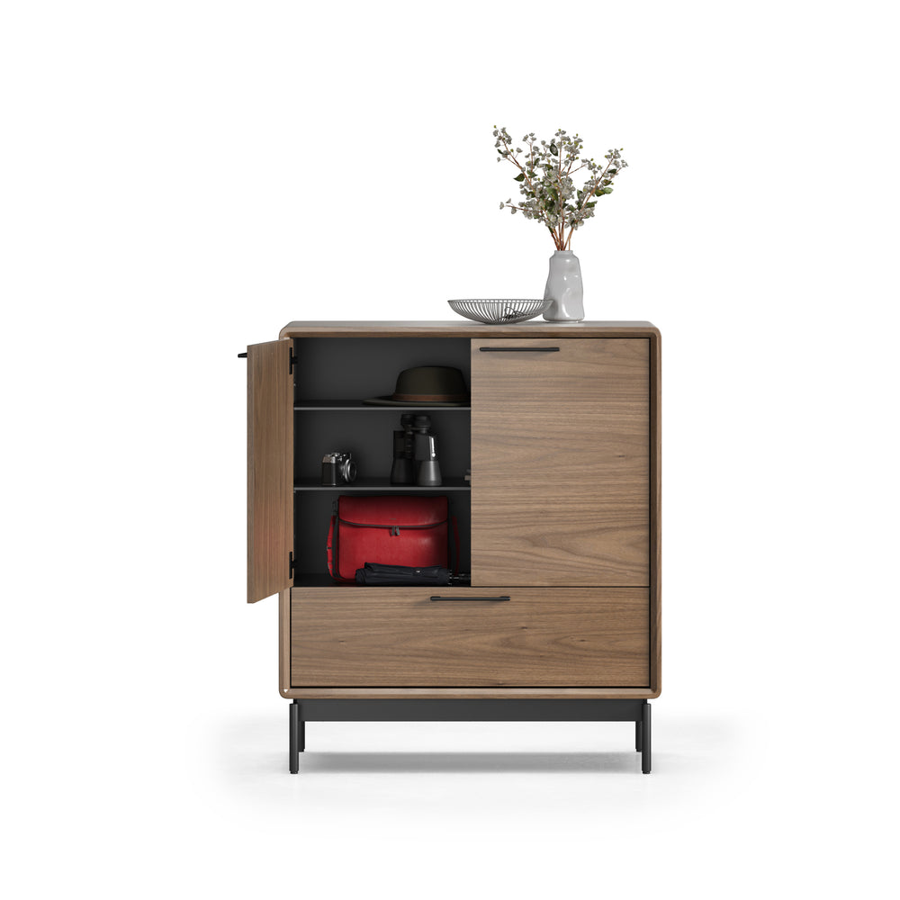 LINQ Entry Cabinet