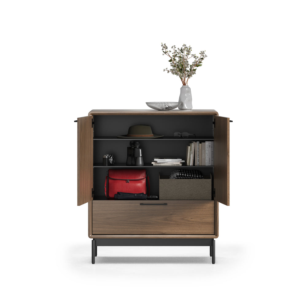 LINQ Entry Cabinet