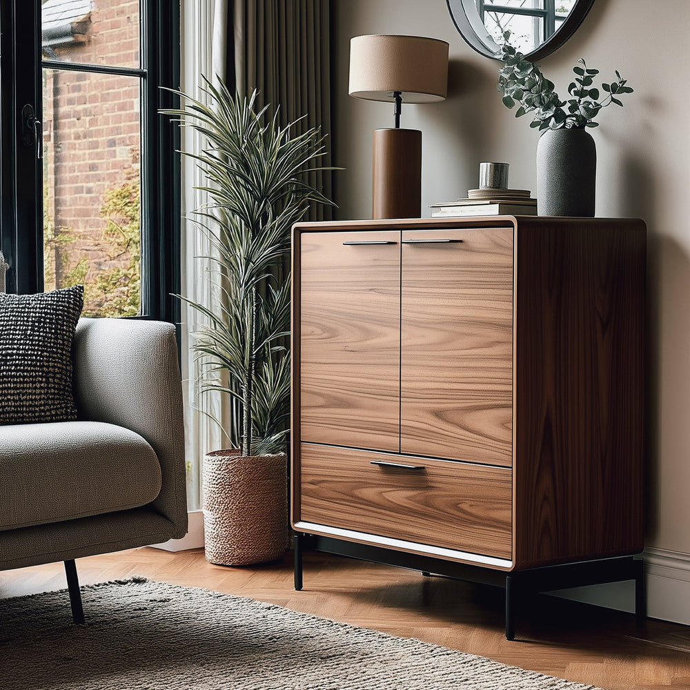 LINQ Entry Cabinet
