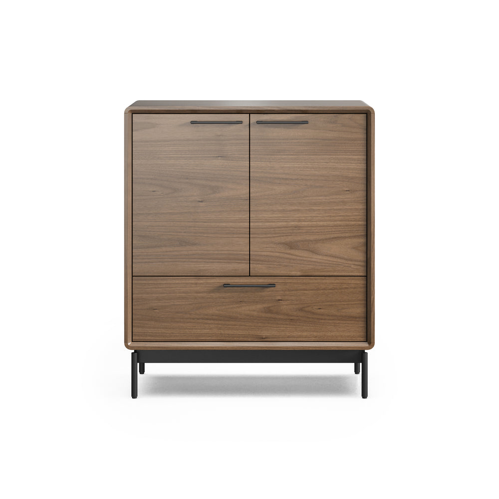 LINQ Entry Cabinet