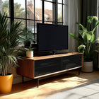 LINQ Low Media Storage Console