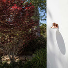 B31058/B31060 Outdoor LED Wall Sconce