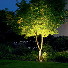 B84084/B84086 Outdoor LED Garden In-Grade Lamp