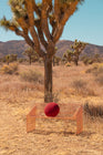Love Seat