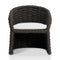 Salinas Arm Chair  option Dark Umber