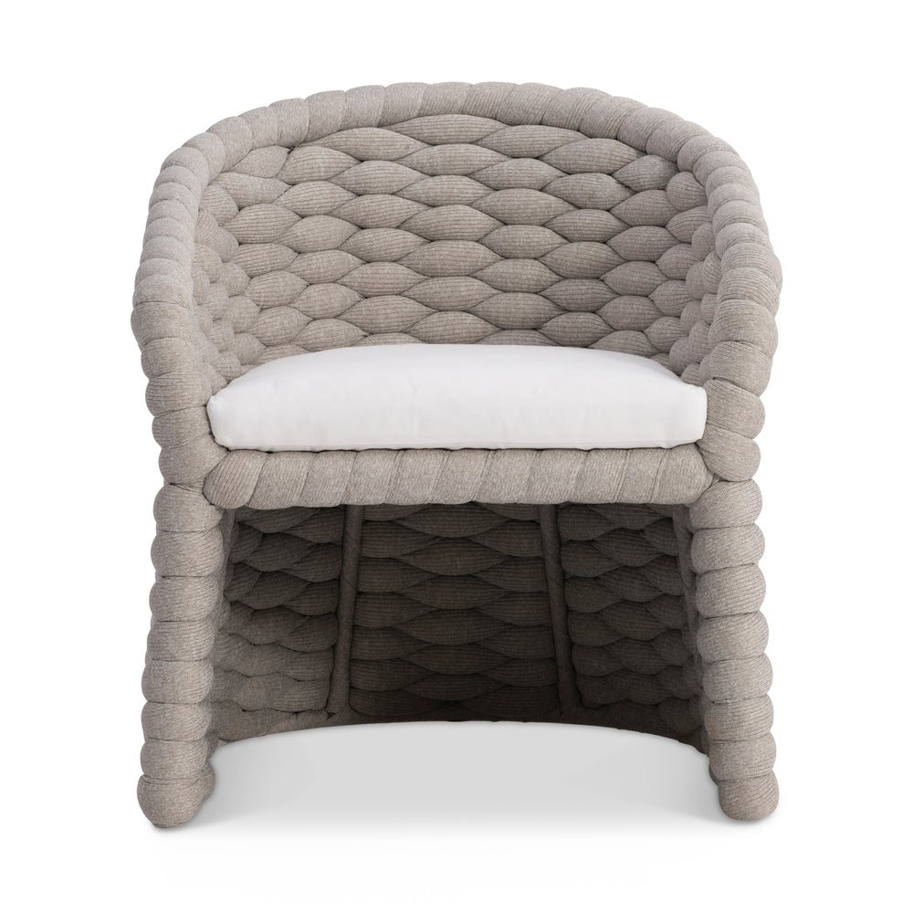 Salinas Arm Chair