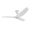 Haiku Coastal Outdoor Ceiling Fan  option Matte White