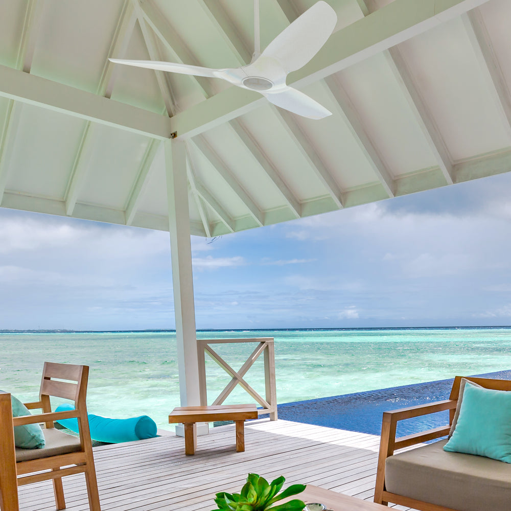 Haiku Coastal Outdoor Ceiling Fan