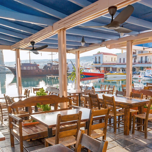 Haiku Coastal Outdoor Ceiling Fan