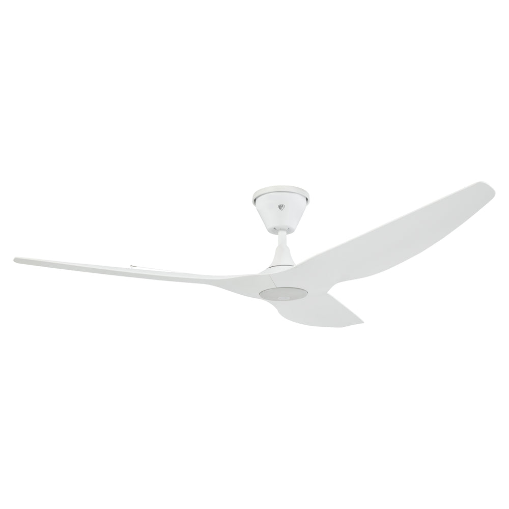 Haiku Coastal Outdoor Ceiling Fan