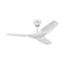 Haiku L Universal Mount Outdoor Ceiling Fan  option White