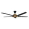 Speakeasy Ceiling Fan  option Matte Black