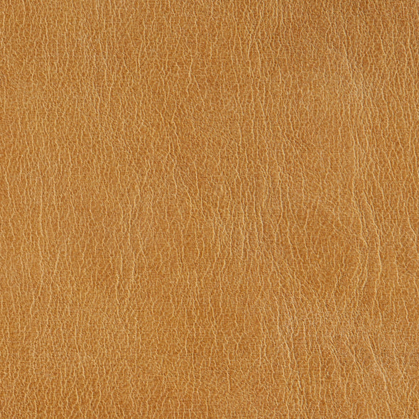 Between Us Leather Dining Chair
