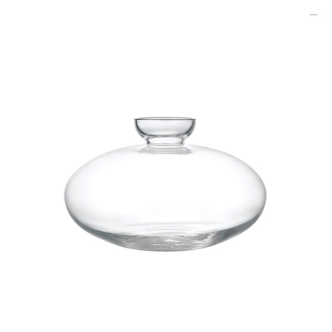 Avo Avocado Starter Vase