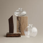 Avo Avocado Starter Vase