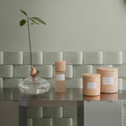 Avo Avocado Starter Vase