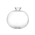 Avo Avocado Starter Vase