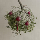 Juhla Ornament (Set of 8)