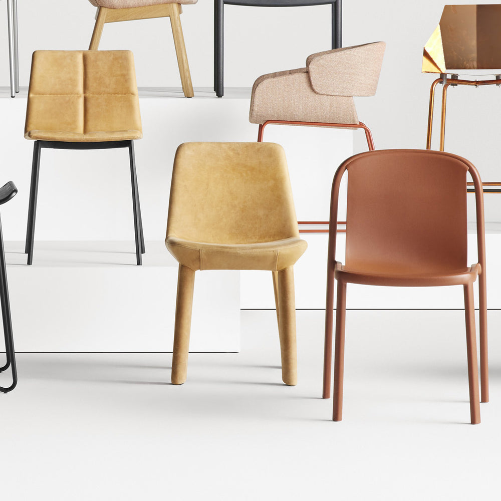 Neat Dining Chair