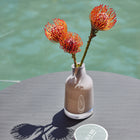 Variant Glass Vase
