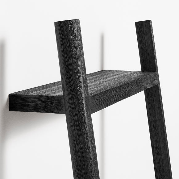 Woodsy Storage Ladder