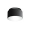 Aspen C40 Flush Mount  option Grey