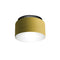 Aspen C40 Flush Mount  option Lemon