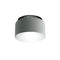 Aspen C40 Flush Mount  option Limestone