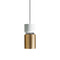 Aspen S17 Pendant Light  option Brass