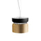 Aspen S40 Pendant Light  option Brass