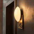 Crosshatch Number Wall Light