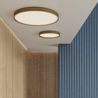 Lite Hole Flush Mount