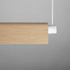 Roof Pendant Light