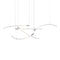 Flare 5-Light A/B/C LED Chandelier  option Brushed Silver