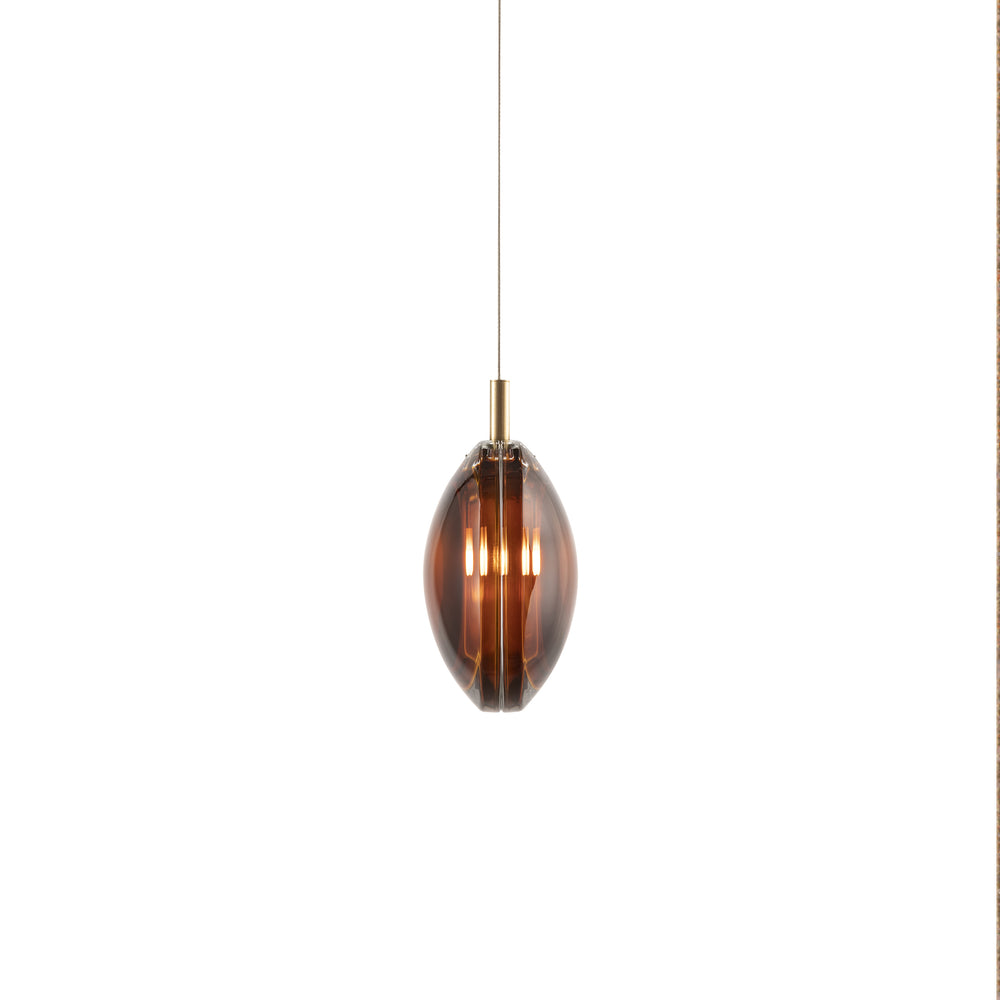 Lens LED Pendant Light