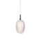 Metamorphosis LED Pendant Light  option Clear
