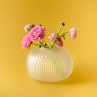 Ruckl Metamorphosis Vase