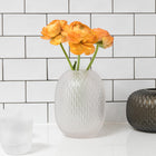 Ruckl Metamorphosis Vase