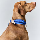 Aura ID Scarf