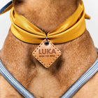 Aura ID Scarf