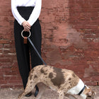 Lumi Leash