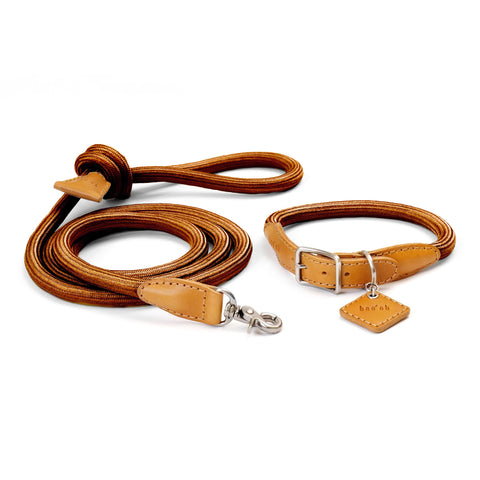 Ray Collar and Leash Set