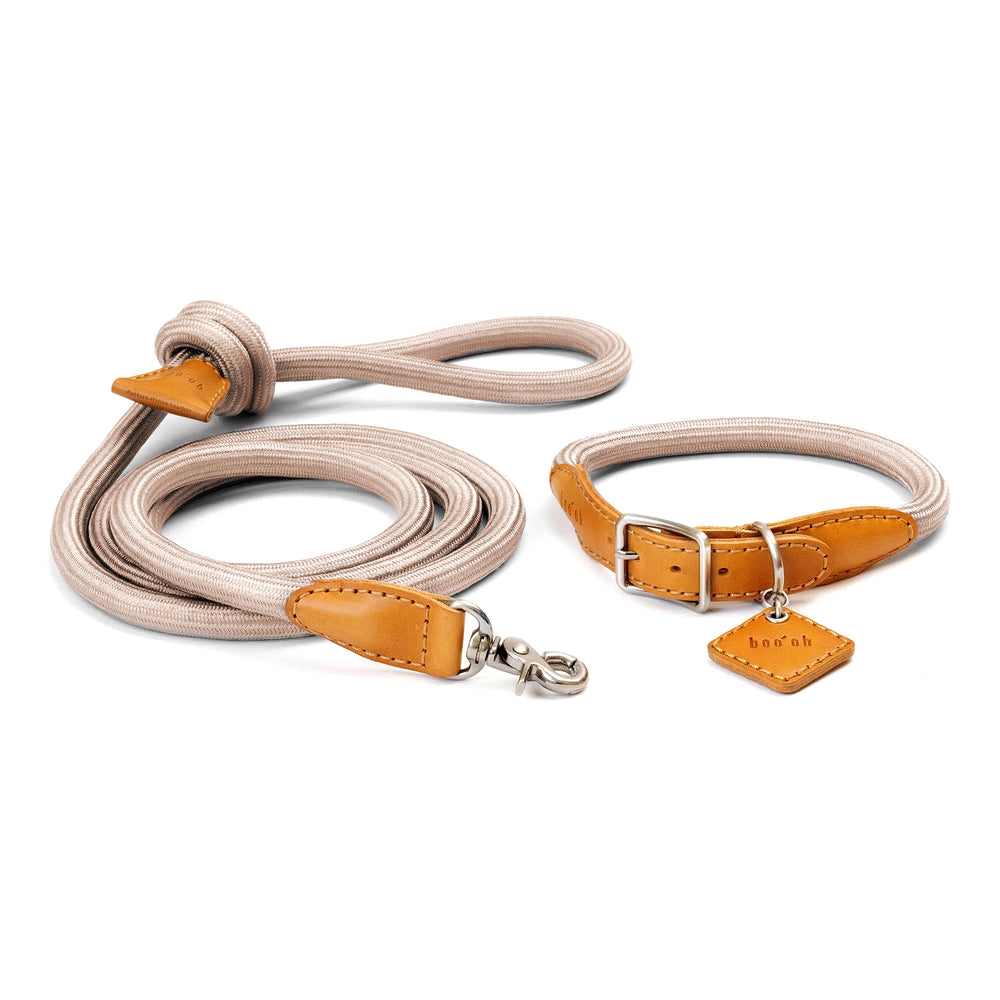 Ray Collar and Leash Set
