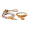 Ray Collar and Leash Set  option Champagne Gold